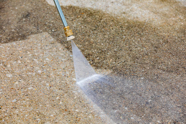 Animal Enclosure Cleaning in Mart, TX